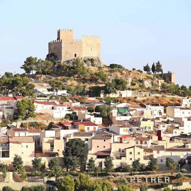 iVanTour