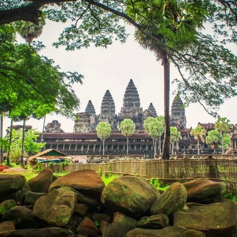 ZeroWings International Travel