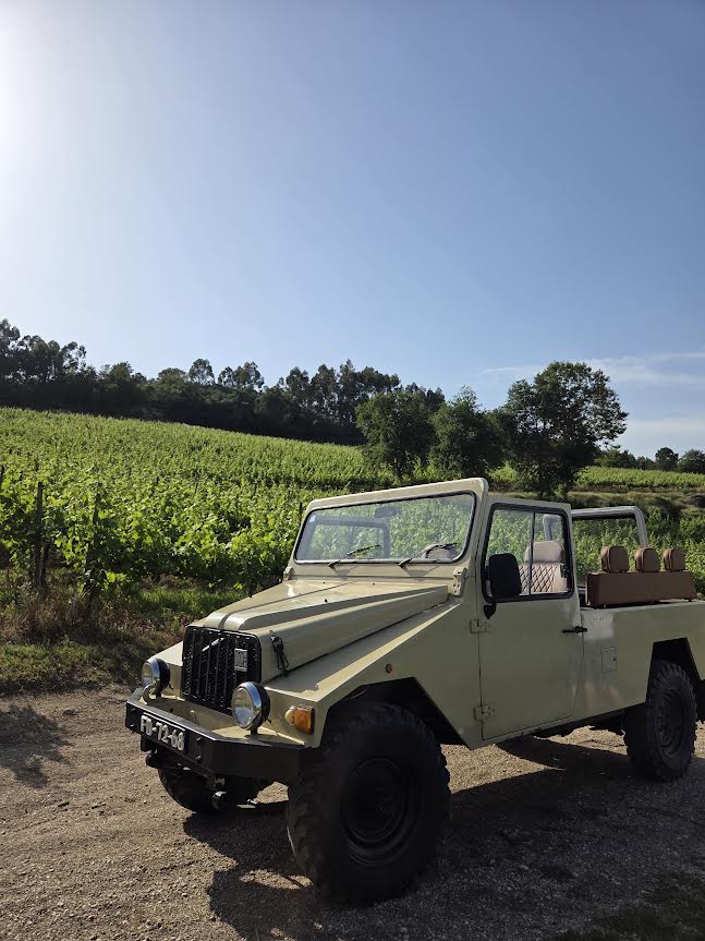 BERÇO - Wine Tours