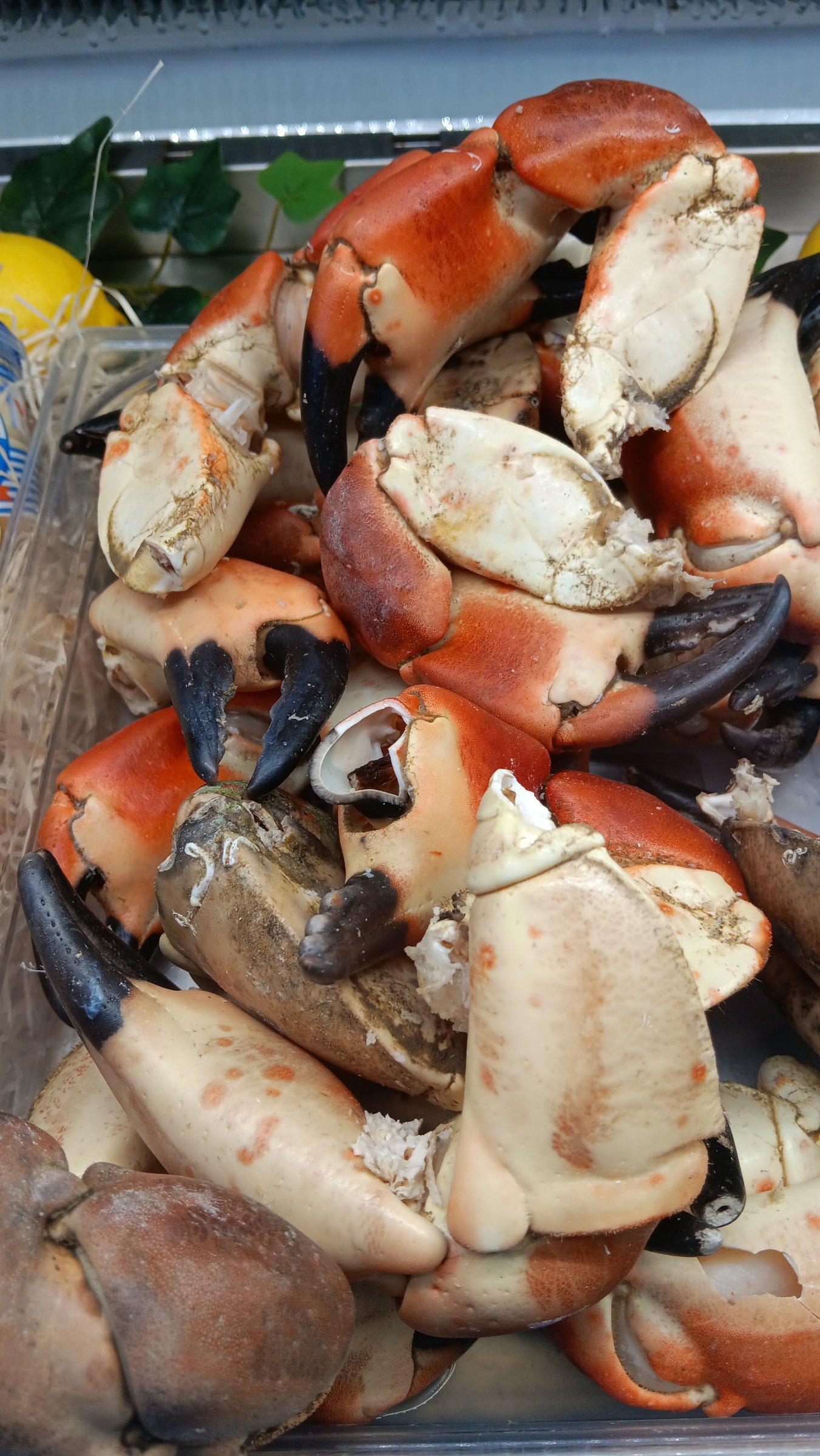 DRING DRING COTENTIN