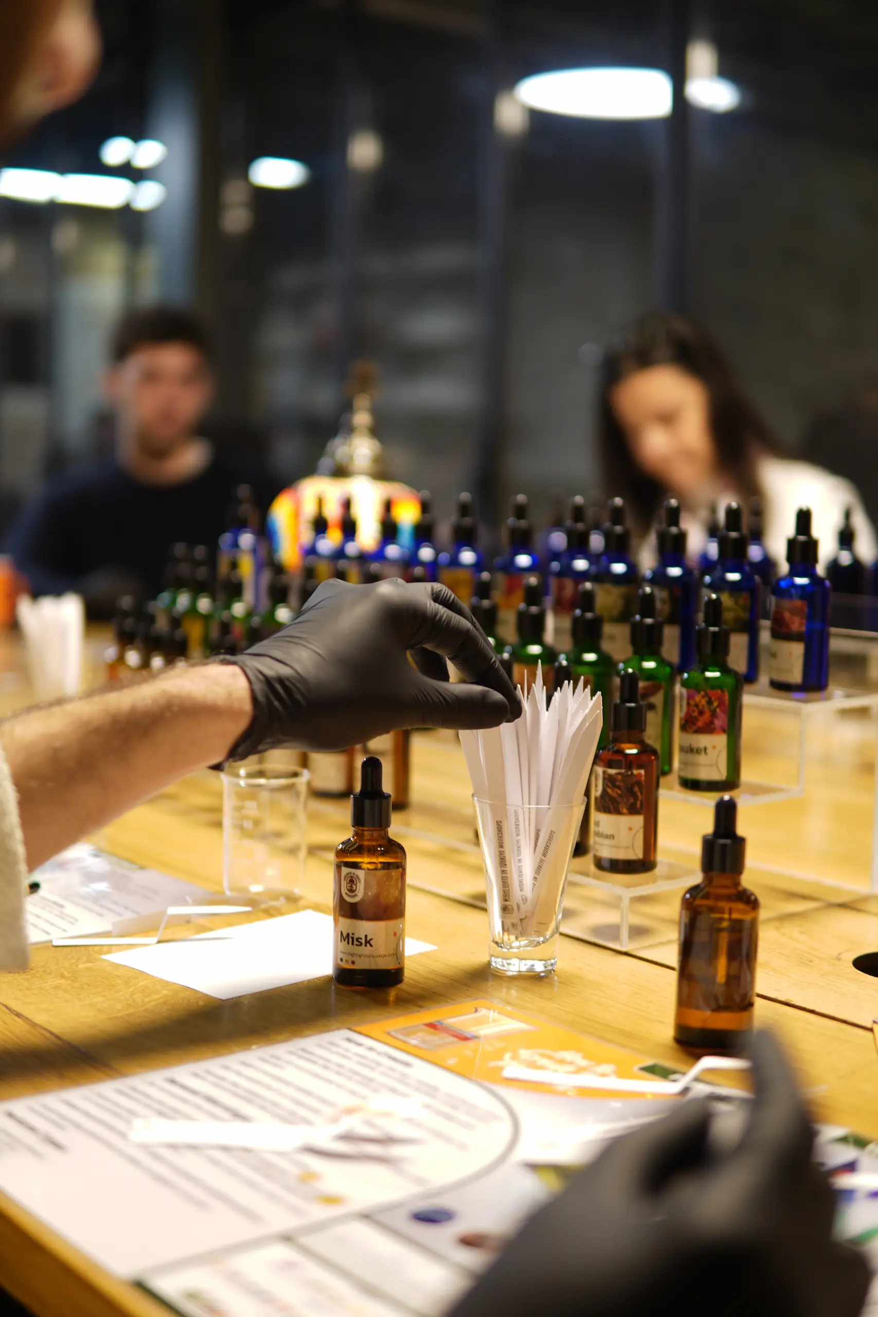 Highlights in Türkiye Workshops