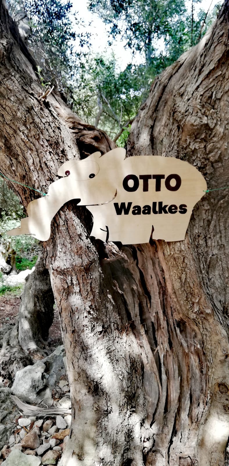 CRETANAENAON