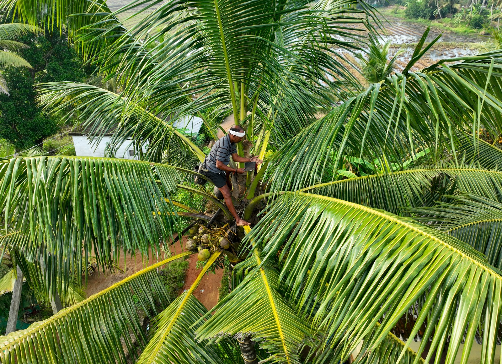 Canoe Kerala