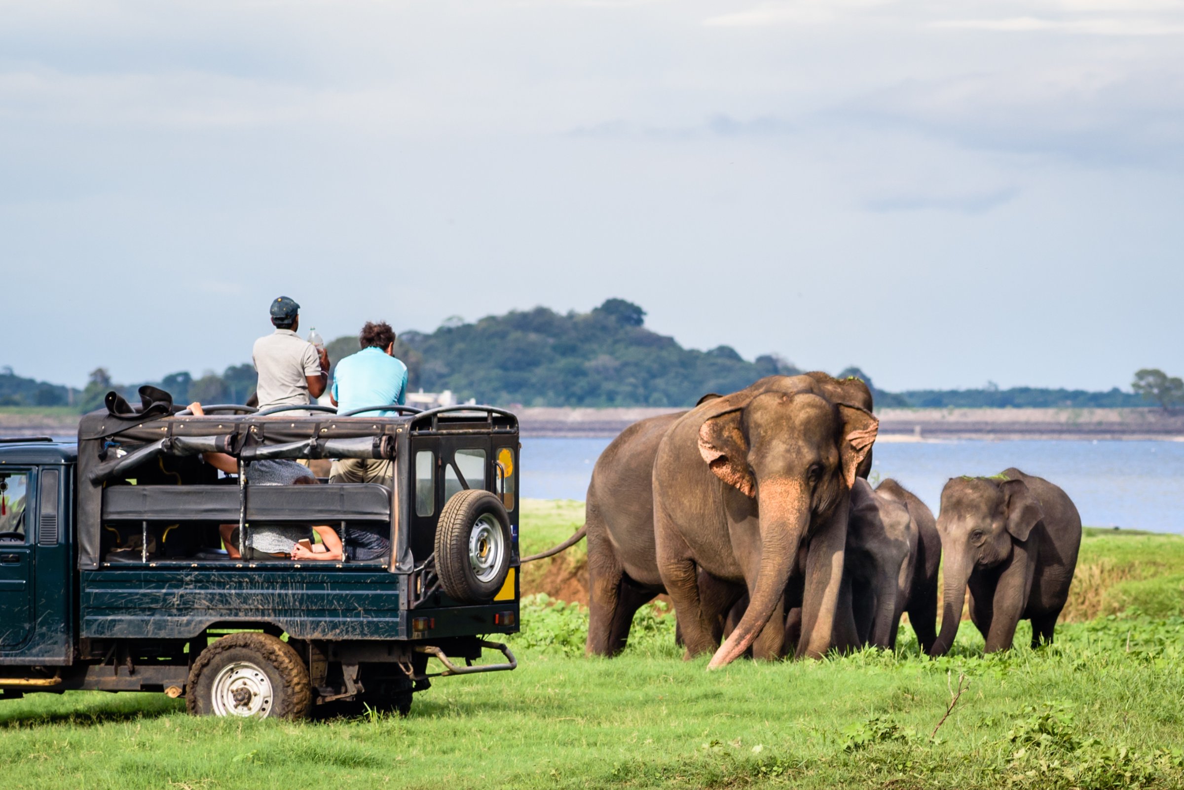 Visit My Sri Lanka