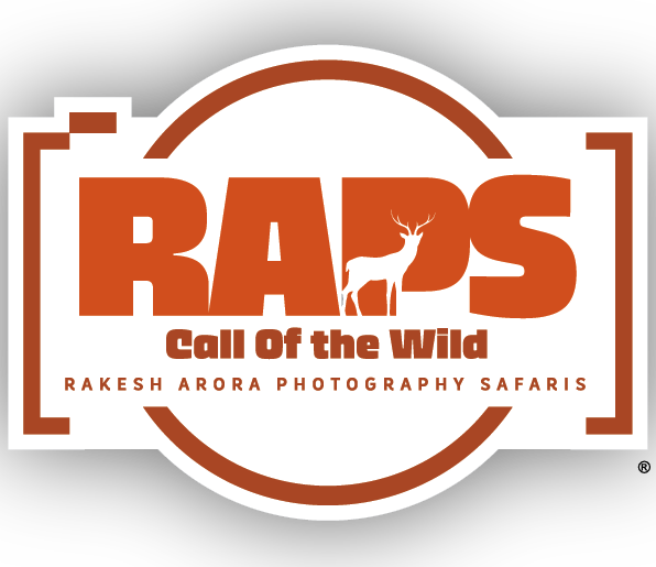 Rakesh Arora Photography Safaris