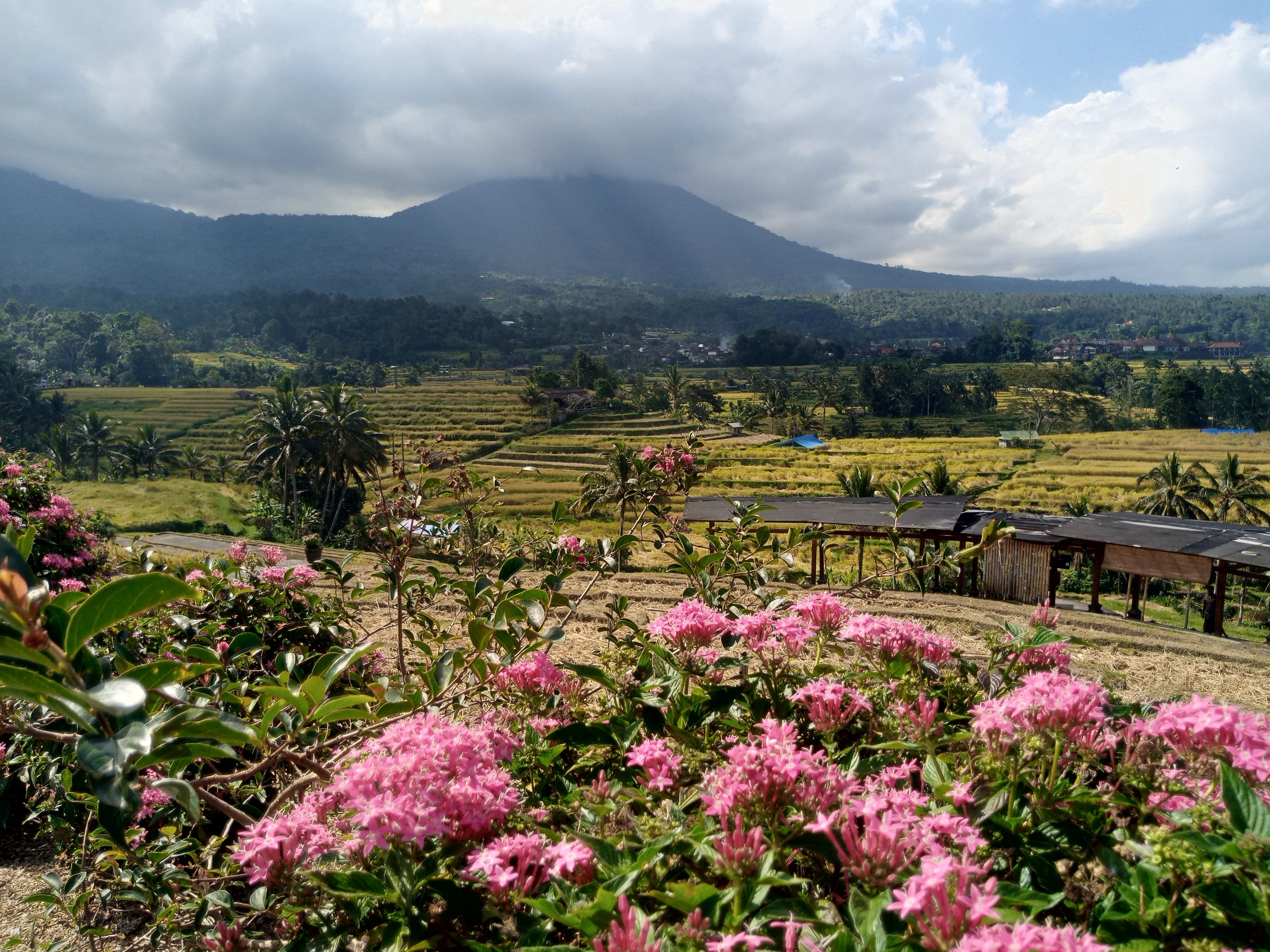 Bali Becik Ubud Tour