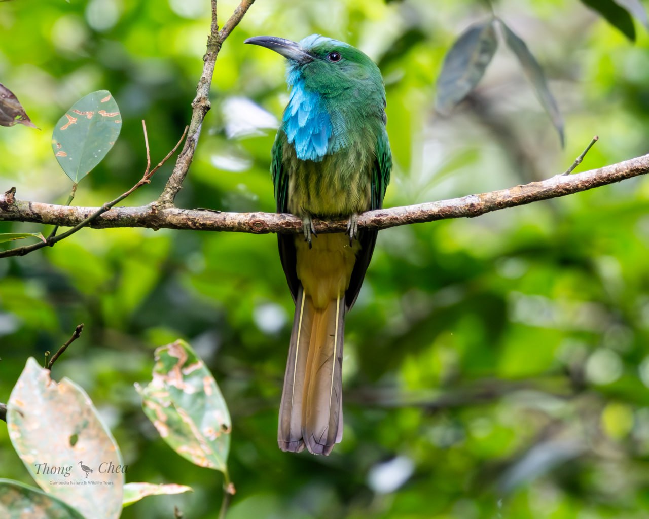 Vana Adventure Travel