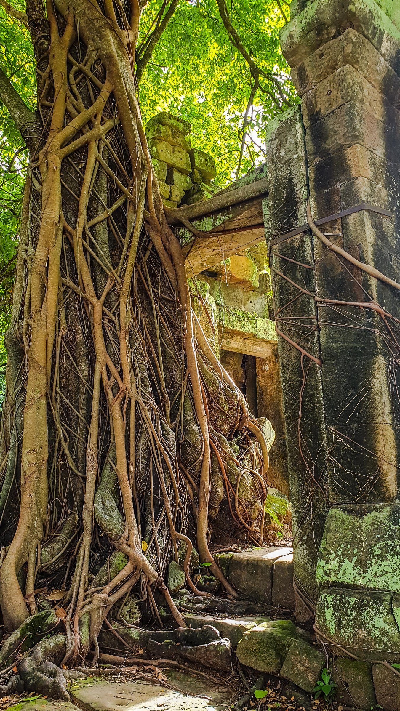 Angkor Offthebeatentrack Photo