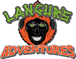 Langur's Adventures