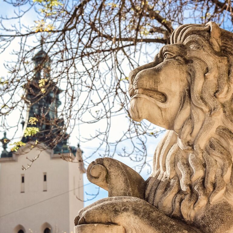 In Lviv Tours