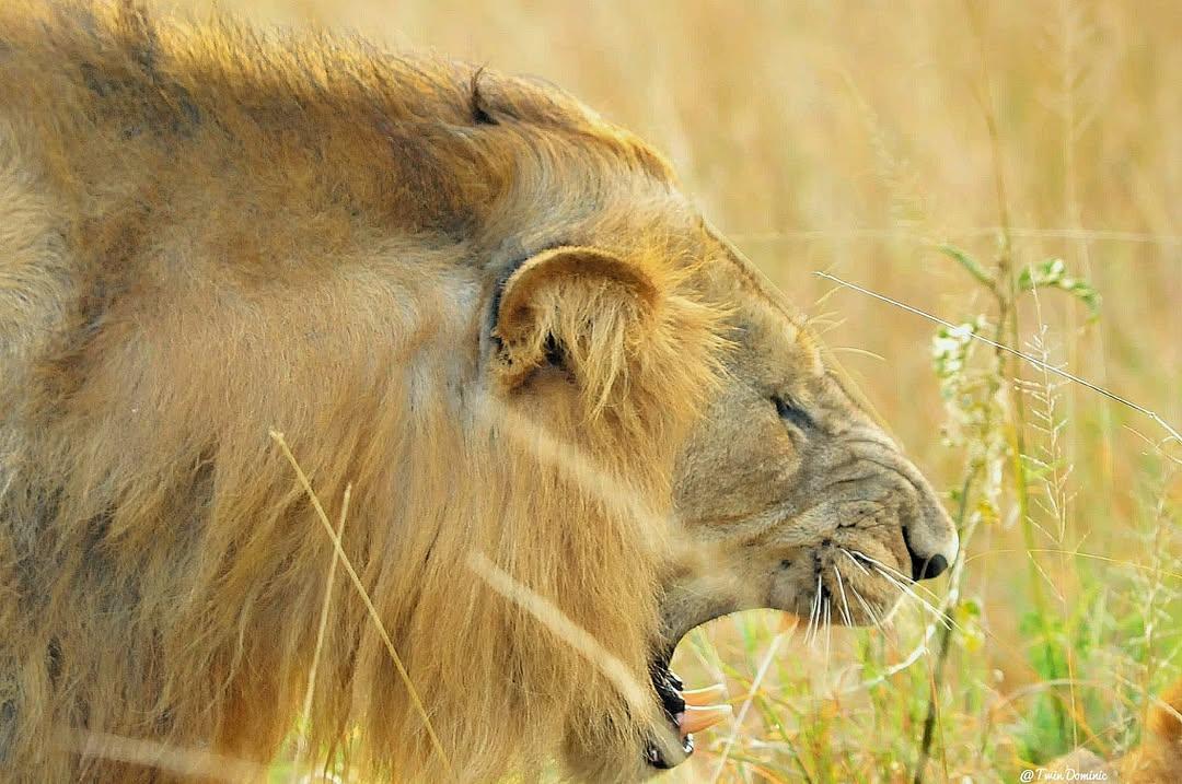 Wildpath adventures tours