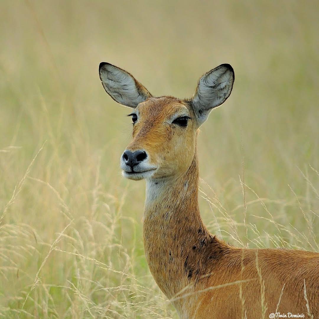 Wildpath adventures tours