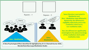 Wonderfeelz Meditation