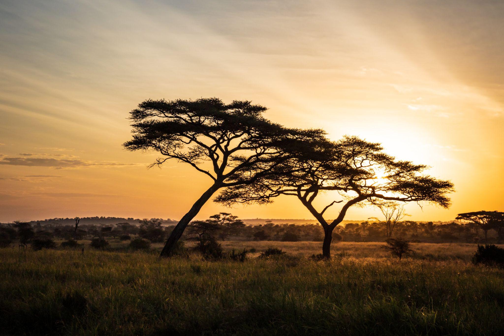 Culture Africa Tours