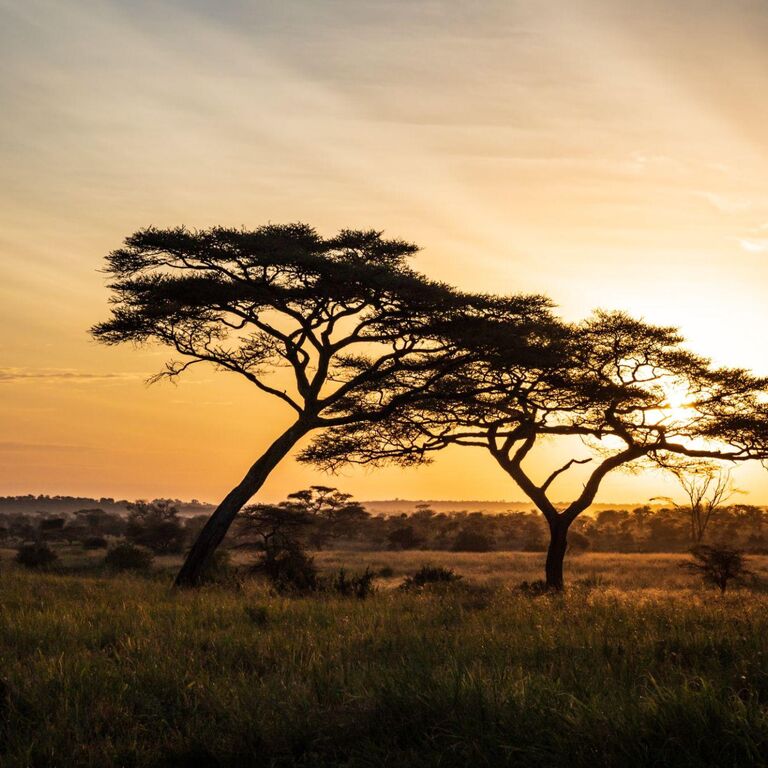 Culture Africa Tours