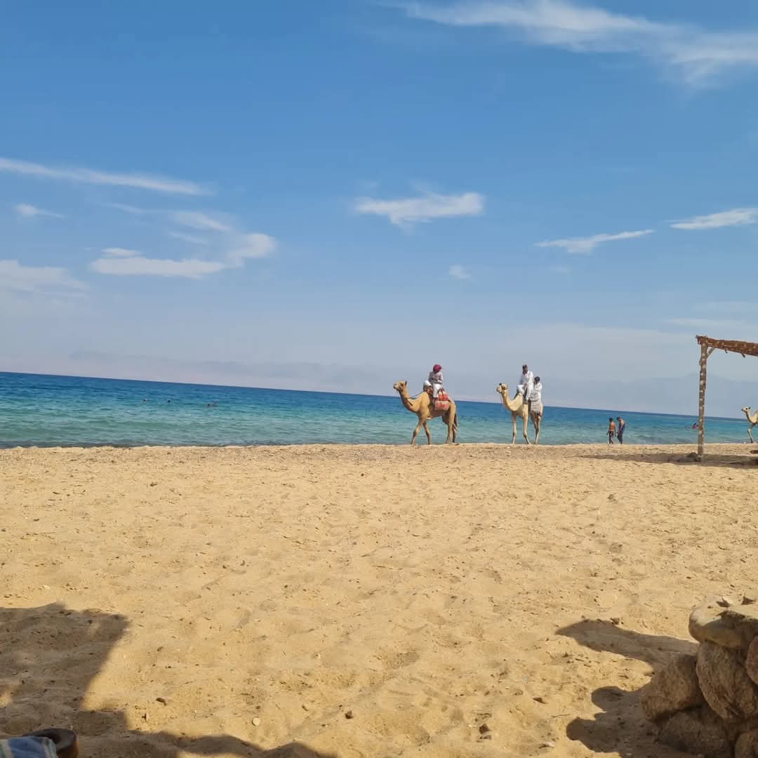 Habiba Beach Lodge