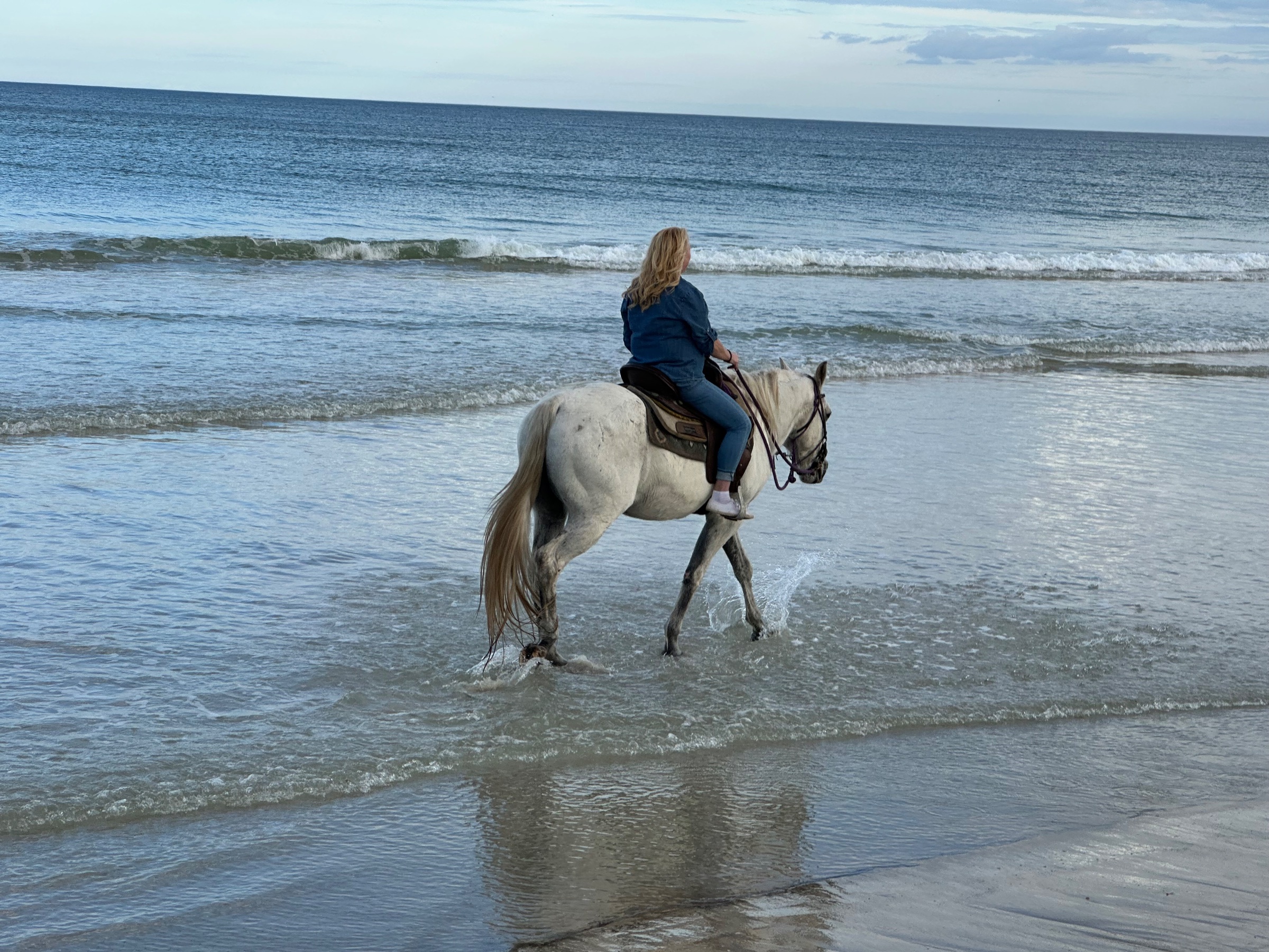 Equestrian Adventures of FL