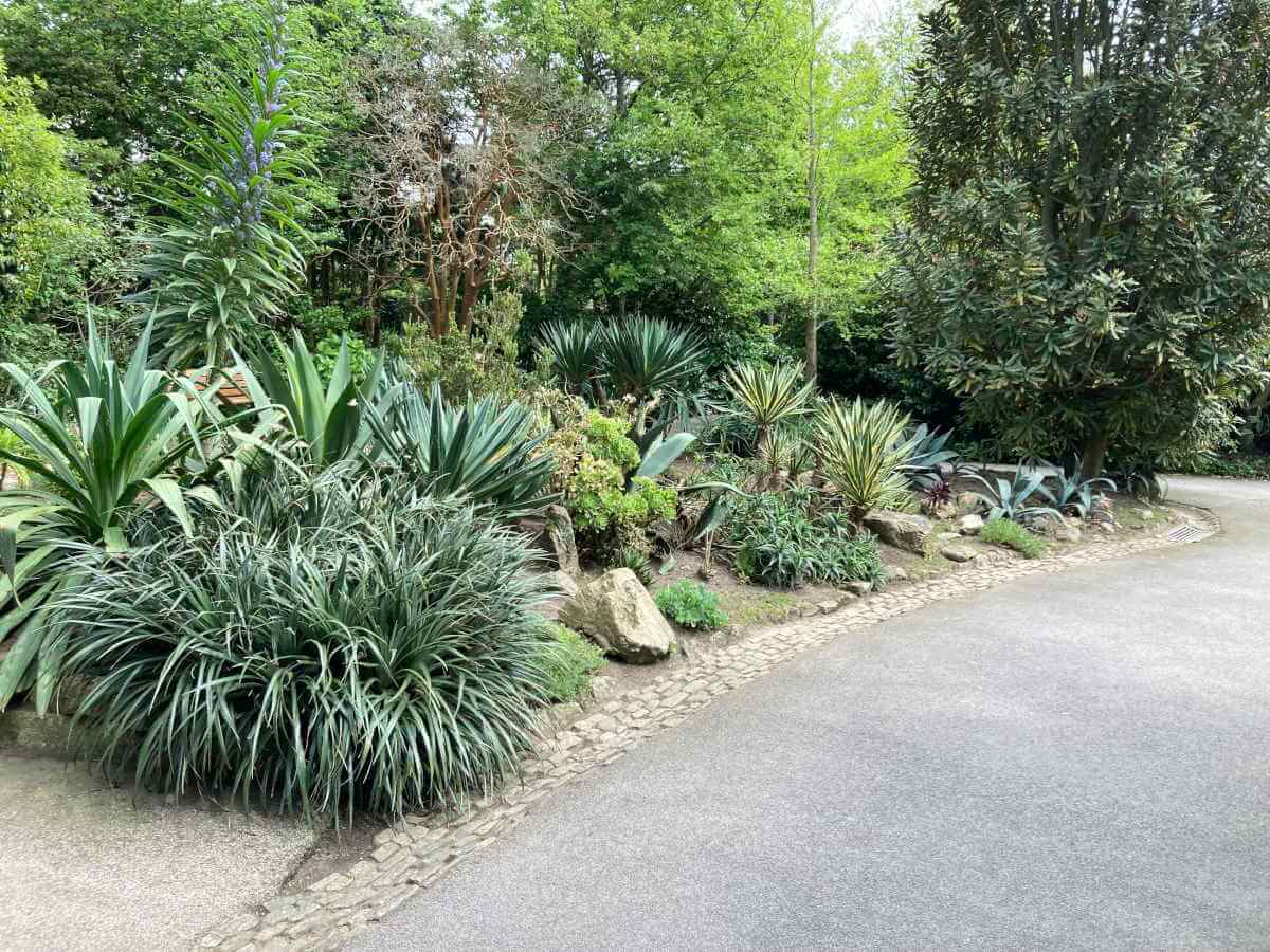 Morrab Gardens