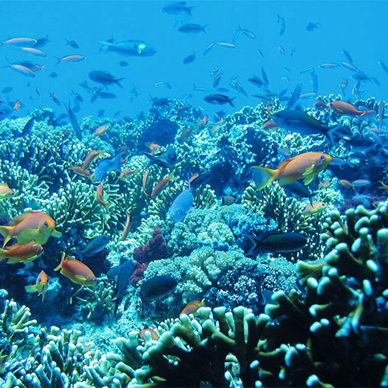 Get Bali Tour
