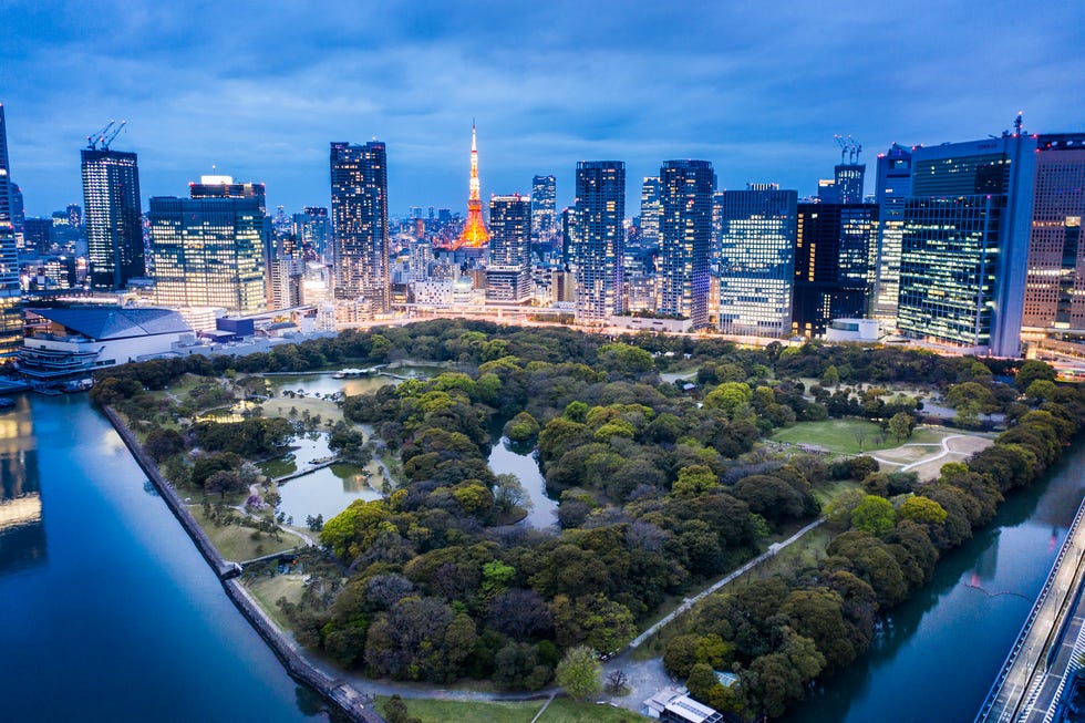 Sakura Tokyo