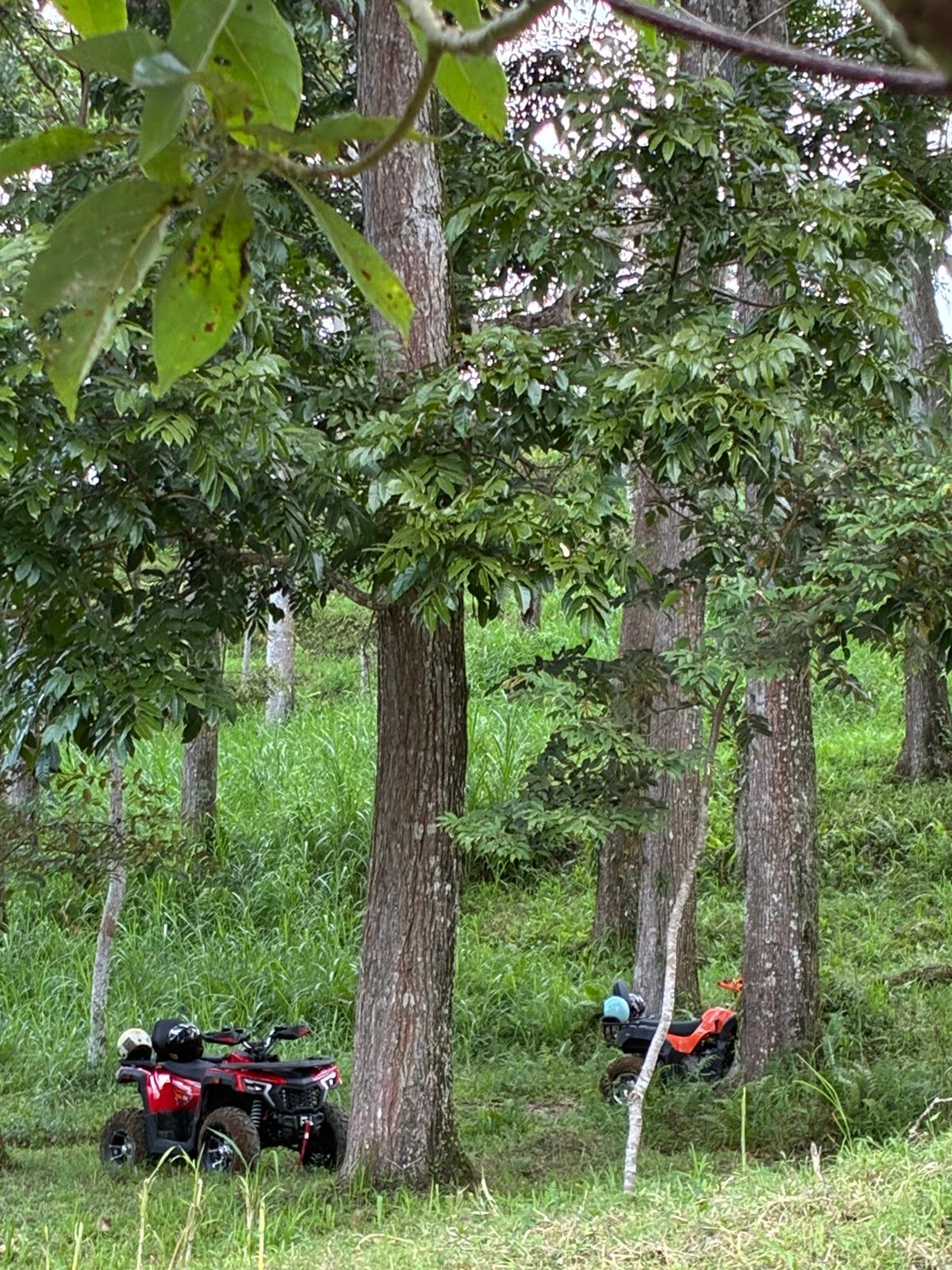 Tetebatu ATV Adventure