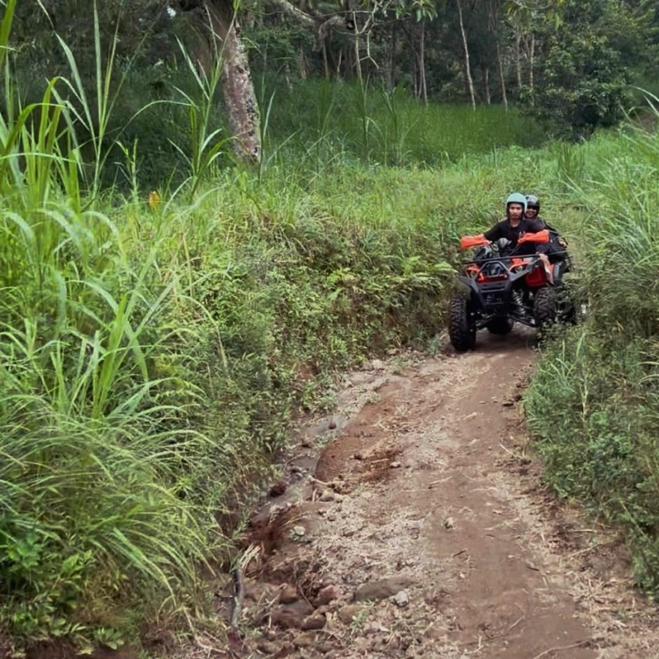 Tetebatu ATV Adventure