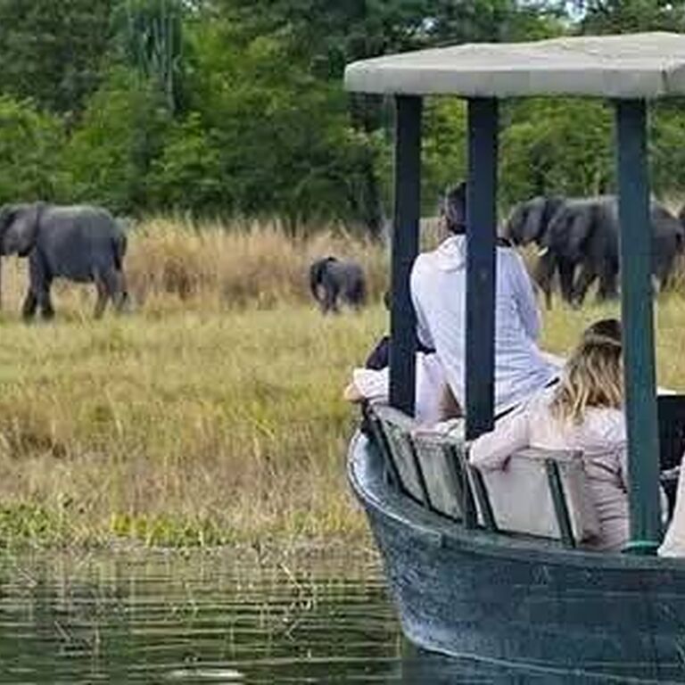 Mlambe Adventure Safaris