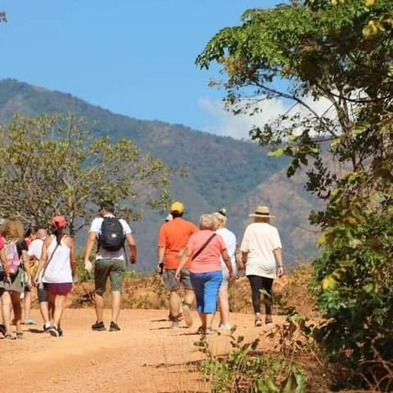 Mlambe Adventure Safaris
