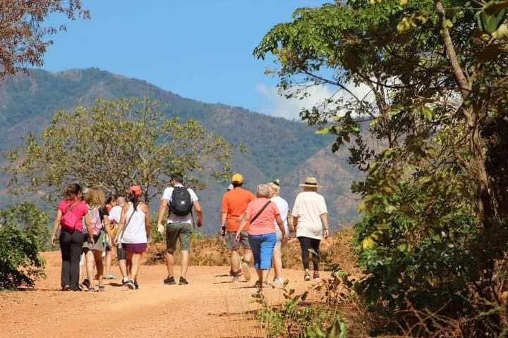 Mlambe Adventure Safaris