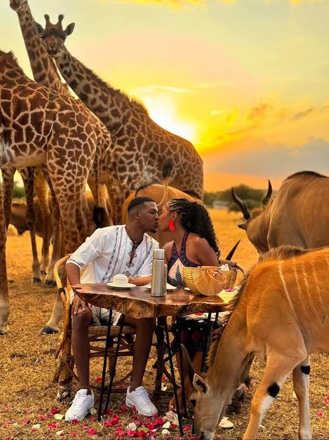 Zanzibar Tours and Transfers