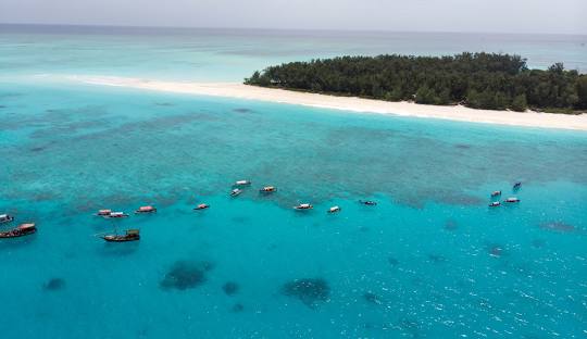Zanzibar Queen Tours & Safari