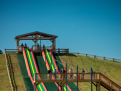 Denver Downs Farm