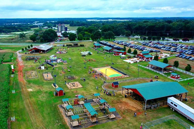 Denver Downs Farm