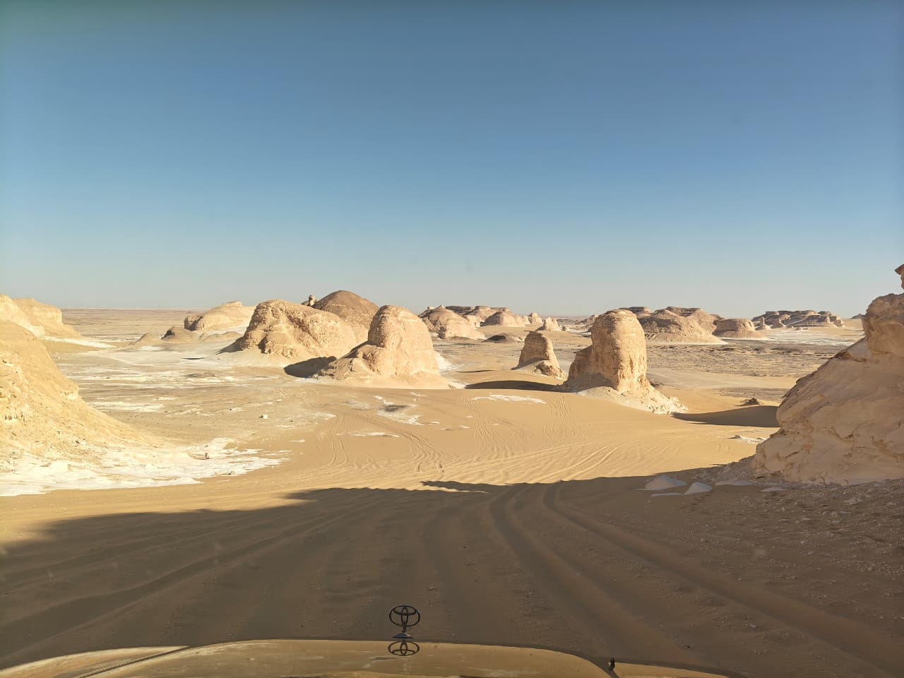 Asem safari tours