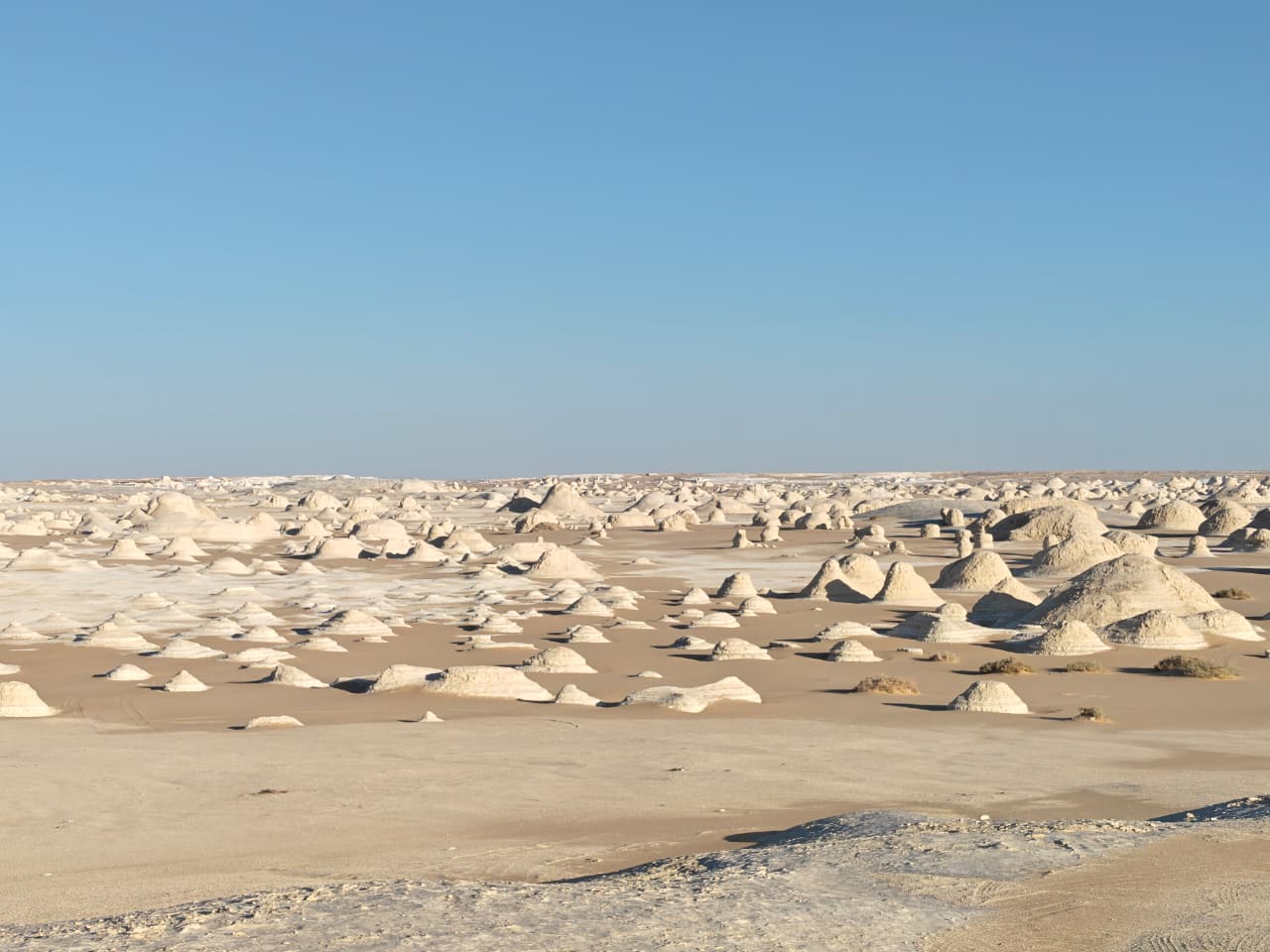 Asem safari tours