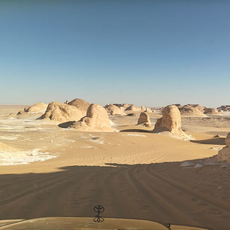 Asem safari tours