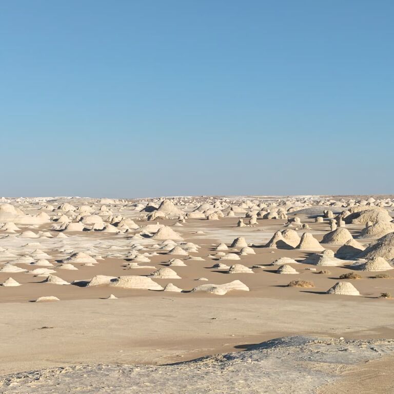 Asem safari tours