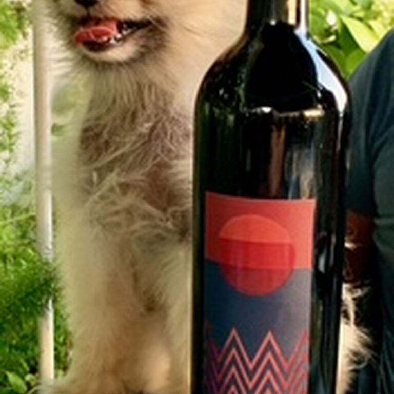 Winery MI