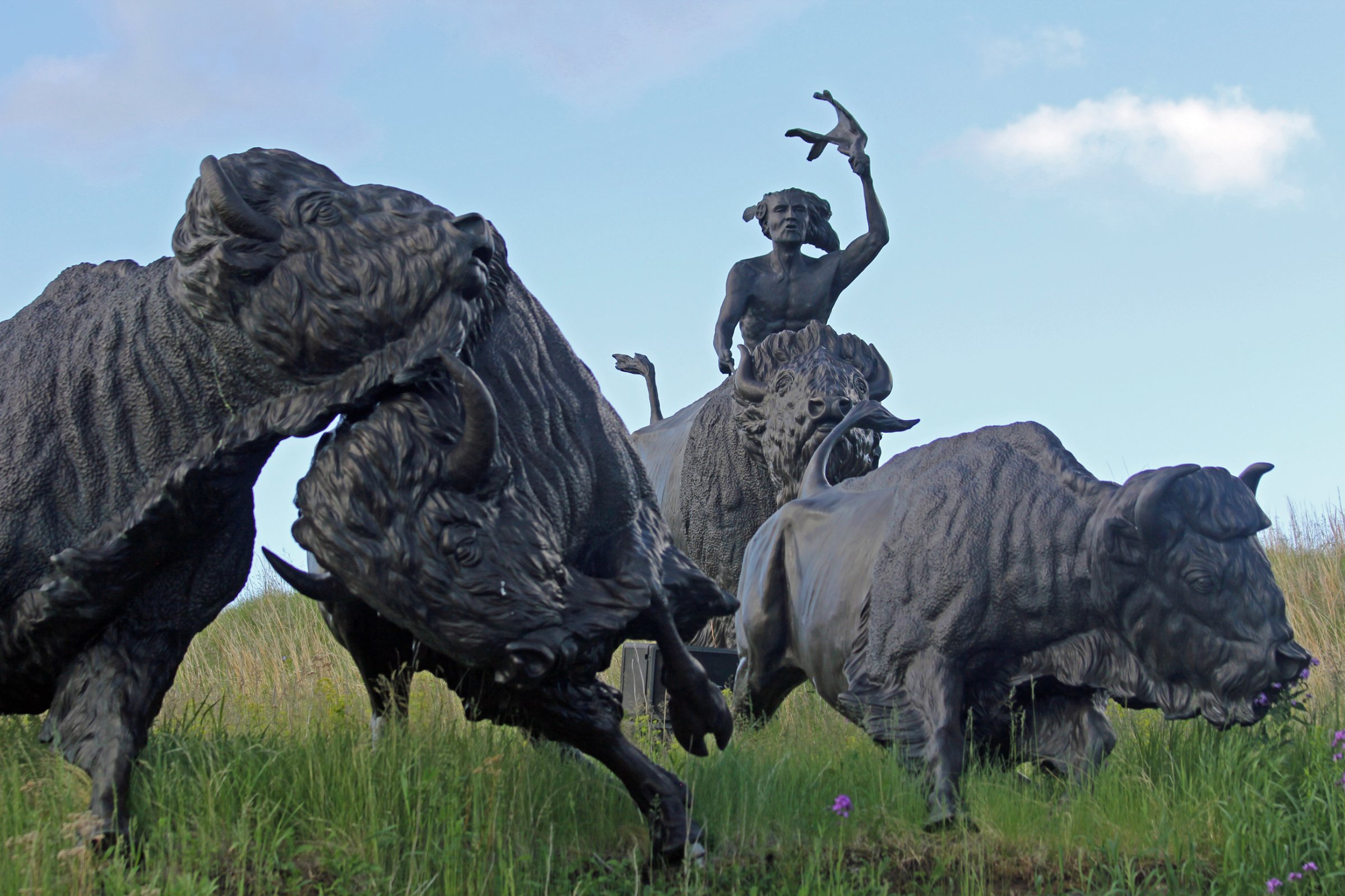 Tatanka, Story of the Bison