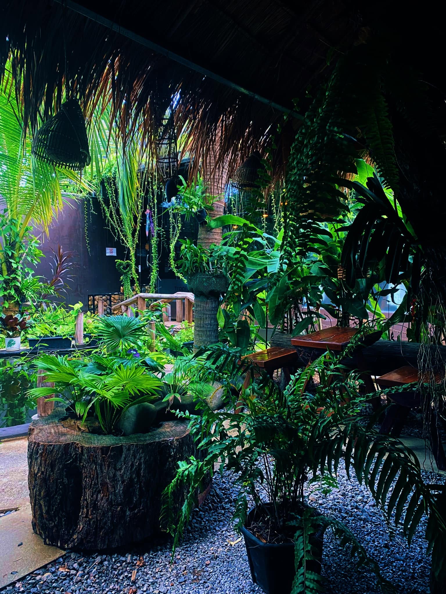 Le Tropique Cafe
