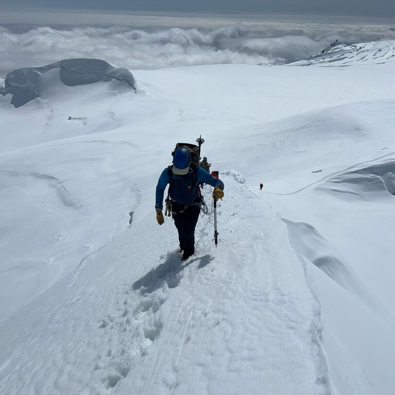 Pict expeditions