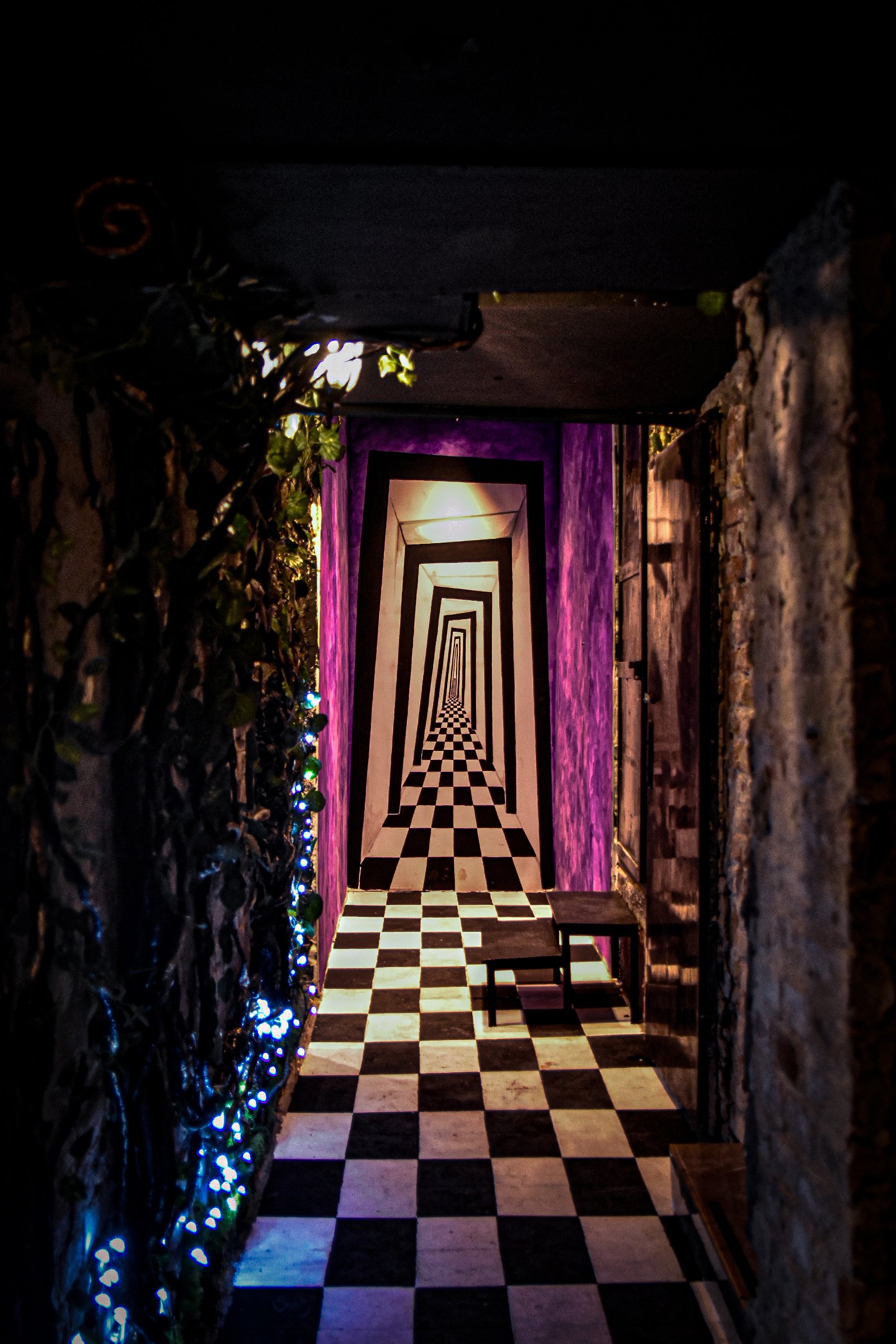 Museum of the Paranormal
