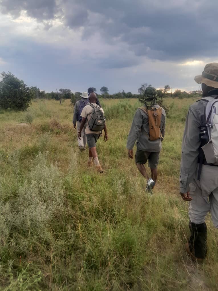 Mobile Safaris