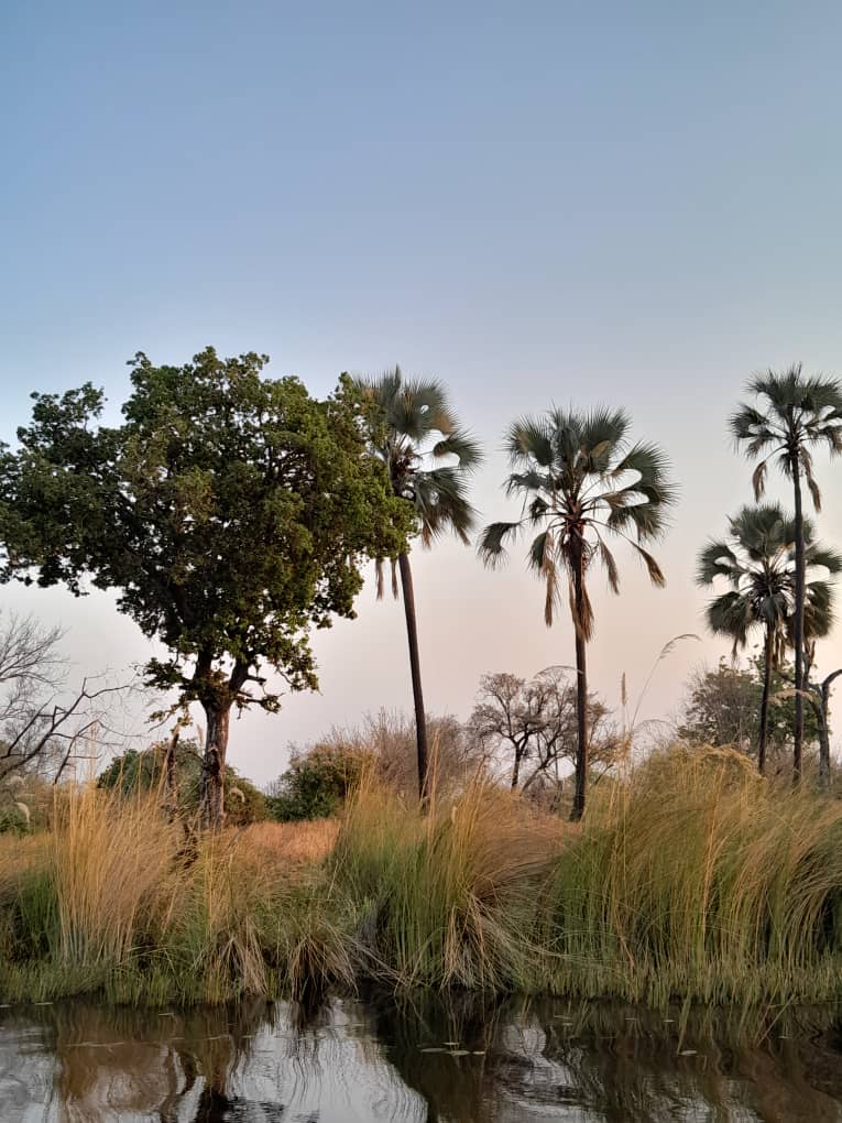 Okavango Experience