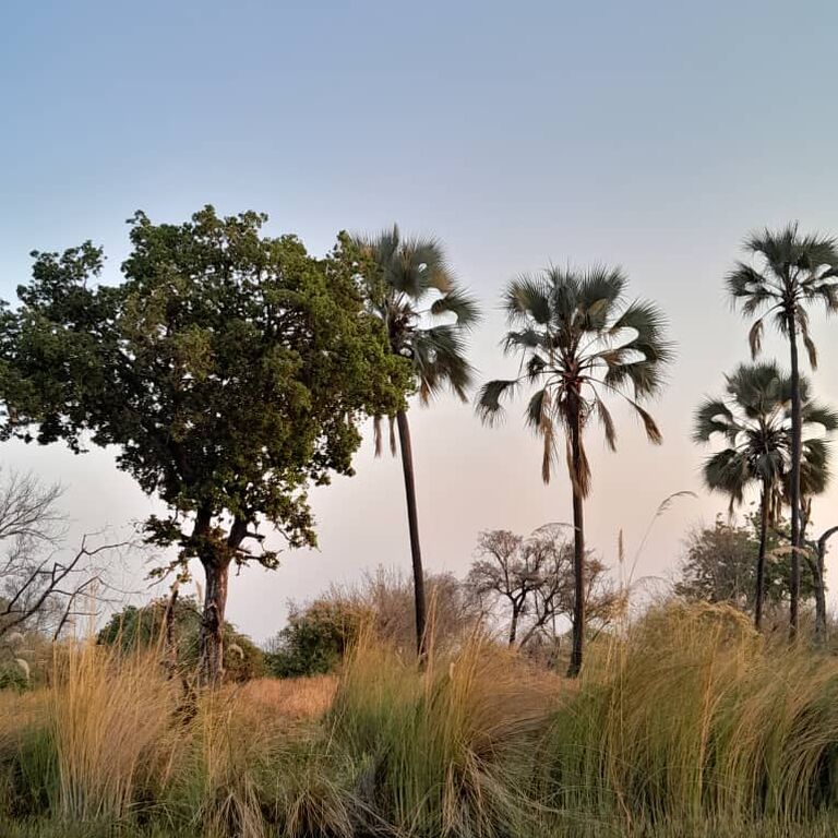 Okavango Experience