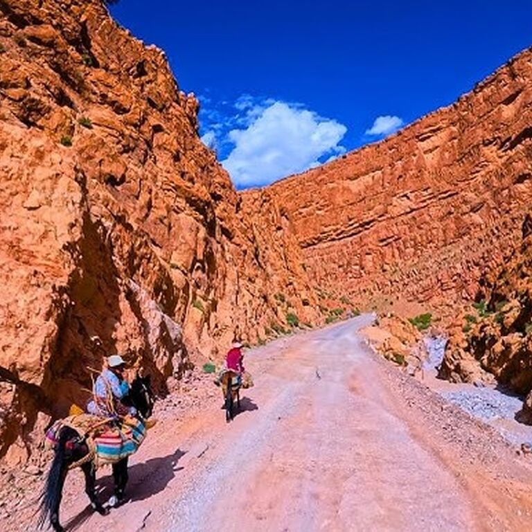 moorish tour