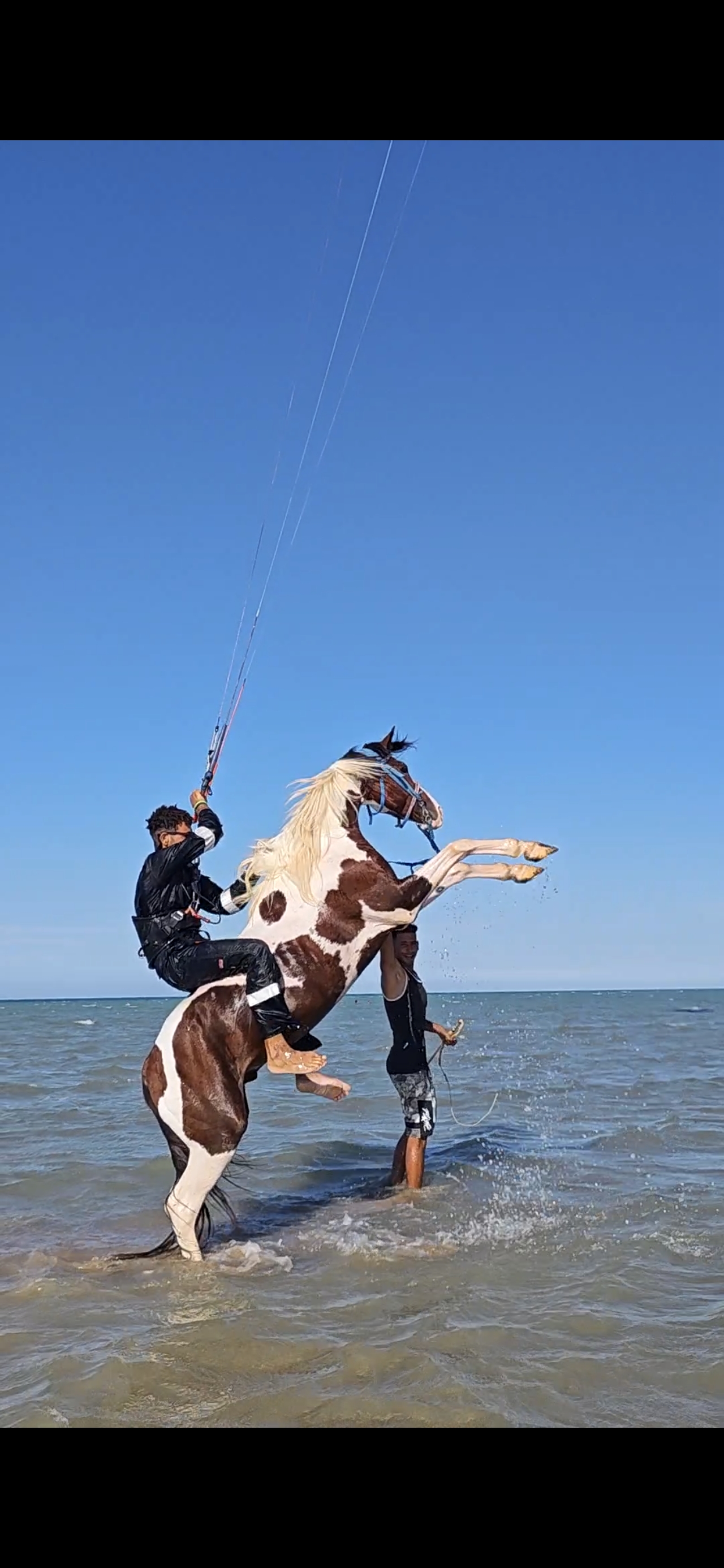 Kite Pirates
