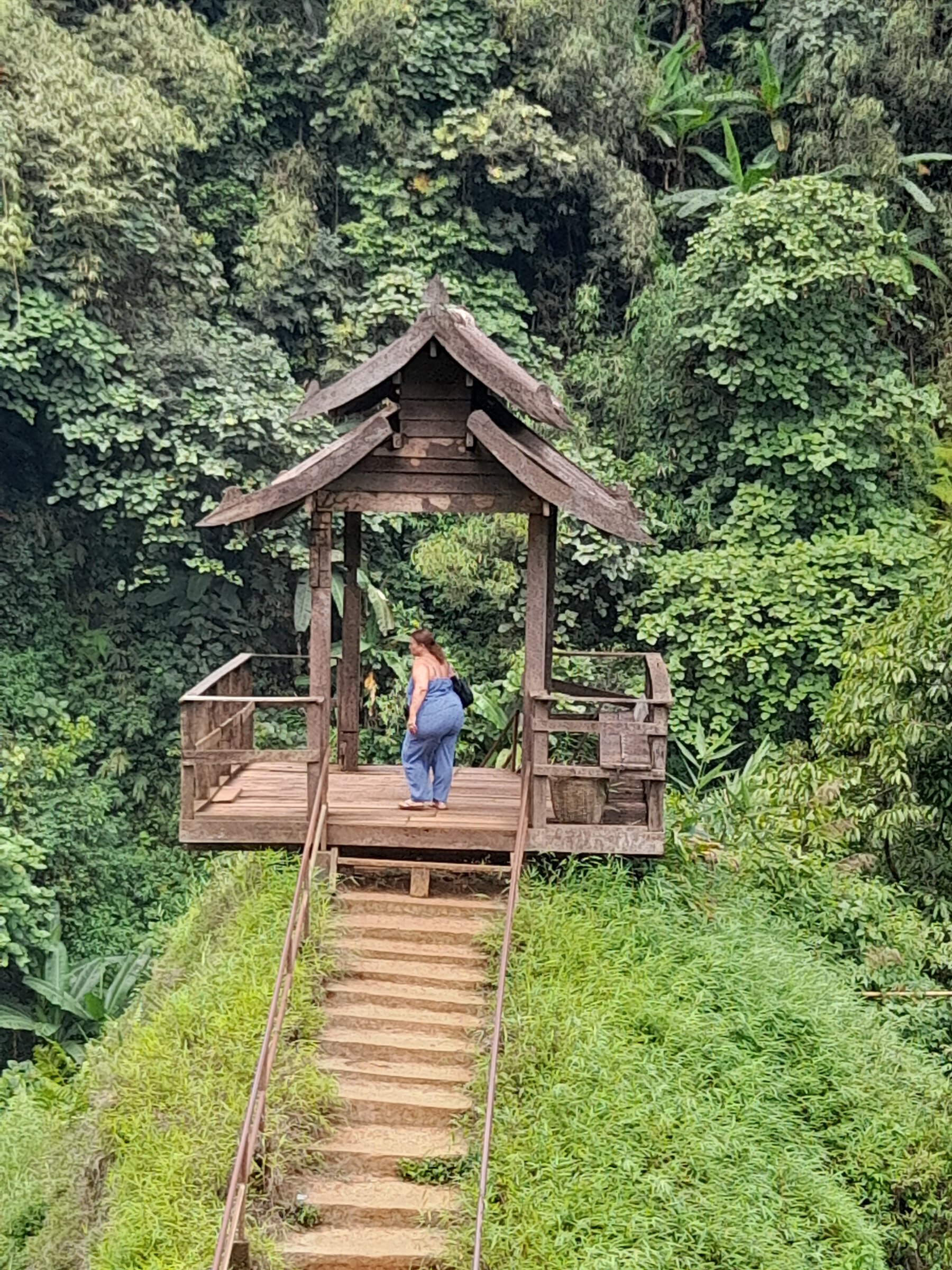 Bolaven Coffee Tour