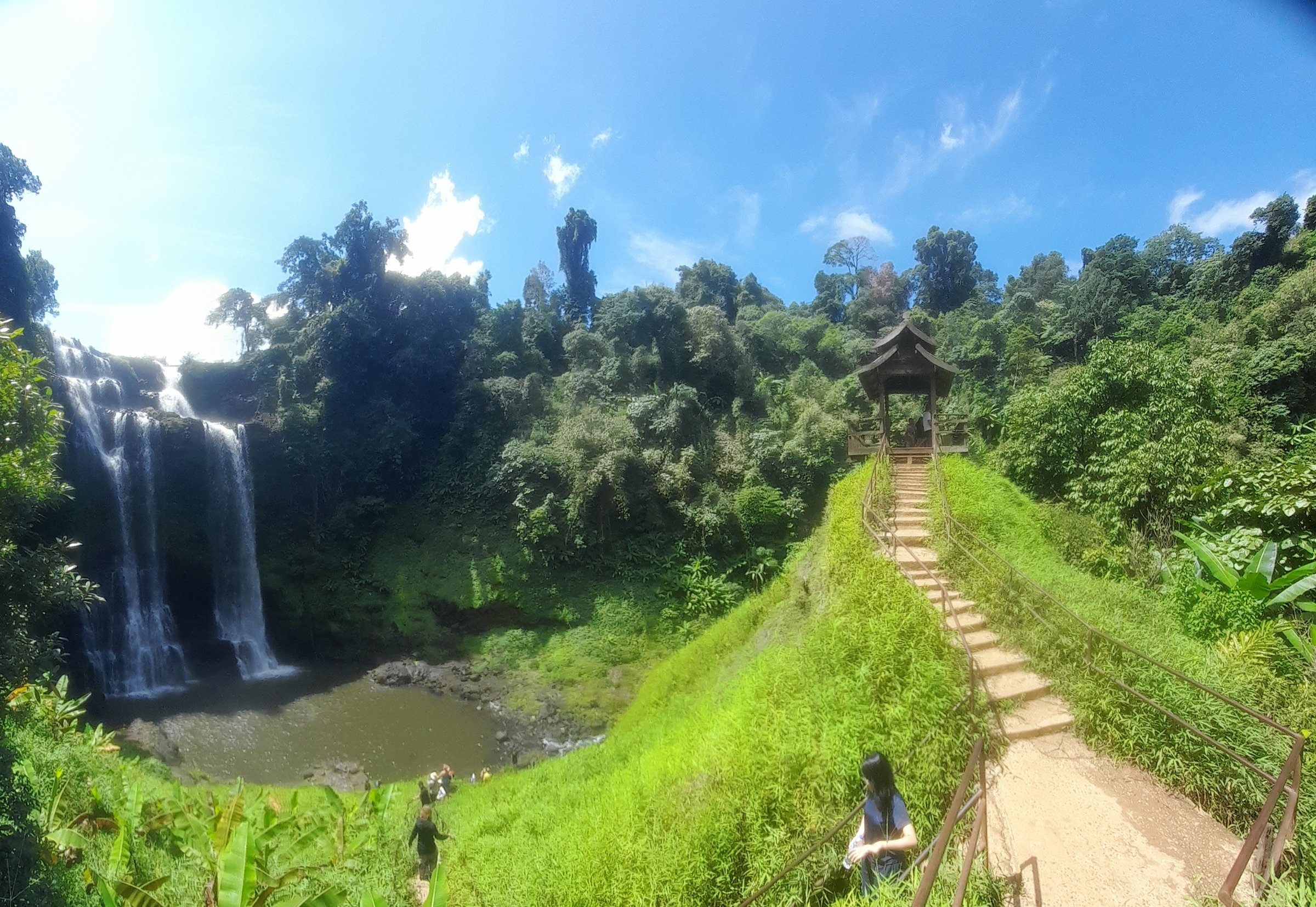 Bolaven Coffee Tour