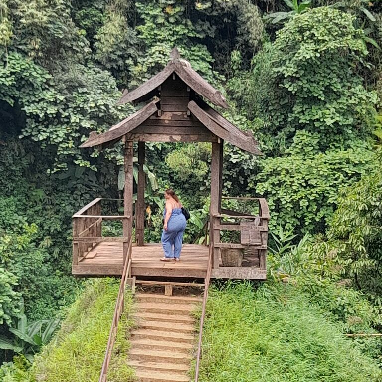 Bolaven Coffee Tour